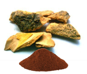 Crataeva Nurvula Extract