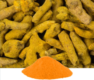 Curcuma Longa Extract