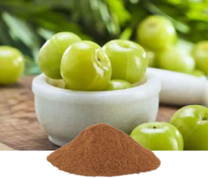 Emblica Officinalis Extract