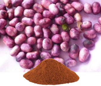 lavanyanutrascience- Eugenia jambolana Extract