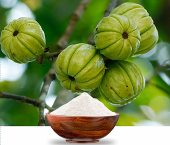lavanyanutrascience- Garcinia Cambogia Extract