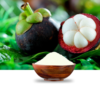 lavanyanutrascience- Garcinia Mangostana Extract