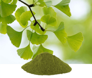 Ginkgo Biloba Extract
