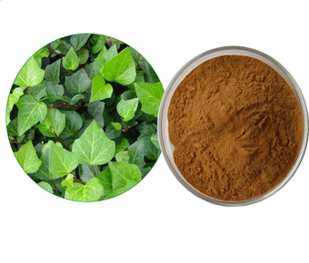 lavanyanutrascience- Hedera Helix Extract