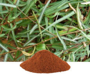 Hemidesmus Indicus Extract