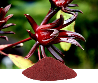 lavanyanutrascience- Hibiscus Sabdariffa Extract