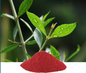 Lawsonia Inermis Extract