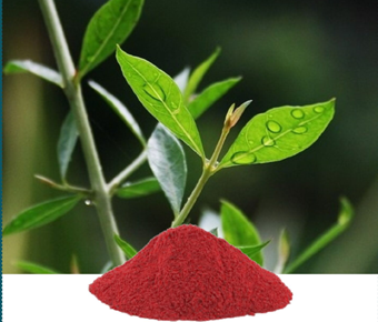lavanyanutrascience- Lawsonia Inermis Extract