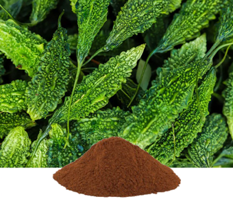 lavanyanutrascience- Momordica Charantia Extract
