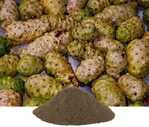 Morinda Citrifolia Extract