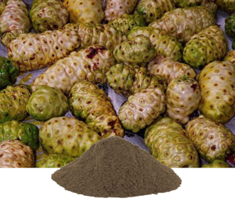lavanyanutrascience- Morinda Citrifolia Extract
