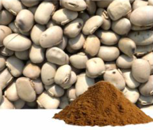 Mucuna Pruriens Extract
