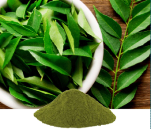 Murraya Koenigii Extract