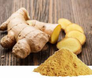 Organic Zingiber Officinale Extract