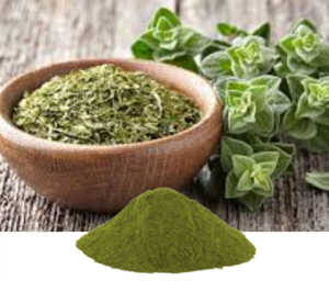 Origanum Vulgare Extract
