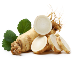 Panax Ginseng Extract