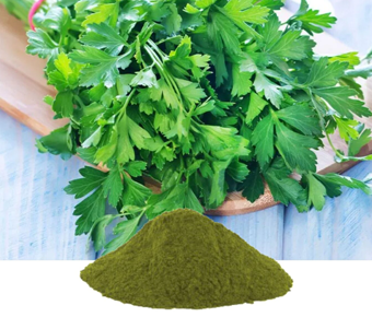 lavanyanutrascience- Petroselinum Crispum Extract