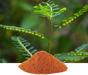 lavanyanutrascience- Phyllanthus Niruri Extract