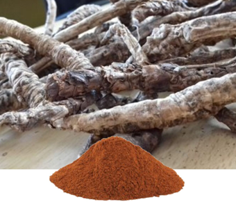lavanyanutrascience- Picrorrhiza Kurroa Extract