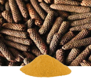 Piper Longum Extract