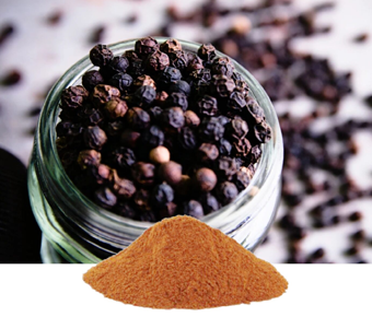 lavanyanutrascience- Piper Nigrum Extract