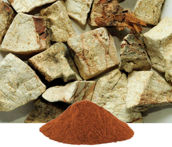 lavanyanutrascience- Pueraria Tuberosa Extract