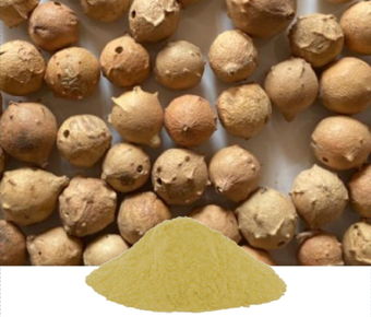 lavanyanutrascience- Quercus Infectoria Extract