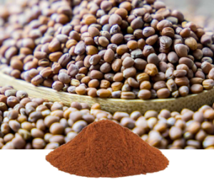 Raphanus Sativus Extract