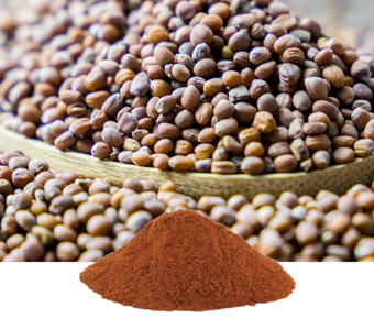 lavanyanutrascience- Raphanus Sativus Extract