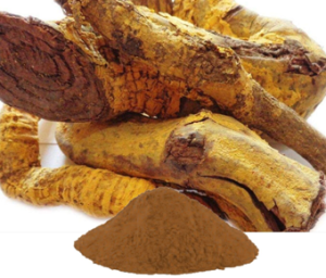 Salacia Reticulata / Oblonga Extract