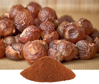 lavanyanutrascience- Sapindus Mokorossi Extract