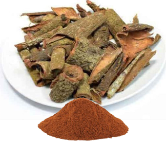 lavanyanutrascience- Saraca Indica