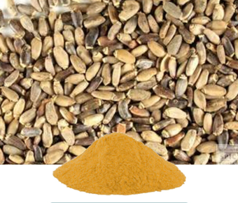 lavanyanutrascience- Silybum marianum Extract