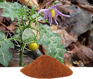 Solanum Xanthocarpum Extract