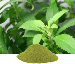 Withania Somnifera Extract