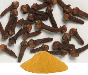 lavanyanutrascience- Syzygium aromaticum Extract