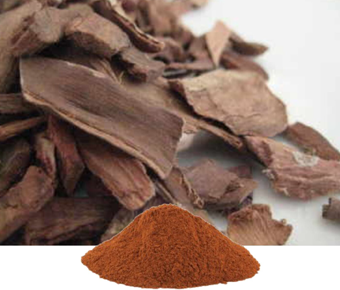 lavanyanutrascience- Terminalia Arjuna Extract