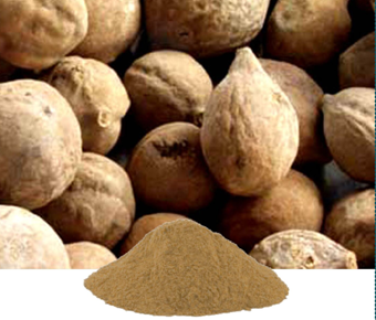lavanyanutrascience- Terminalia Belerica Extract