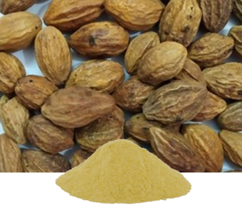 lavanyanutrascience- Terminalia Chebula Extract