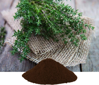 lavanyanutrascience- Thymus Vulgaris Extract