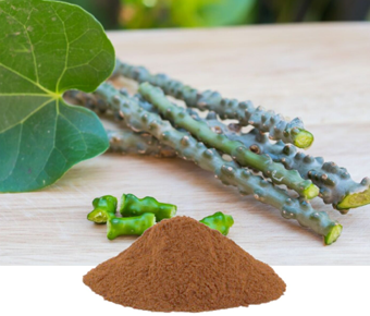 lavanyanutrascience- Tinospora Cordifolia Extract