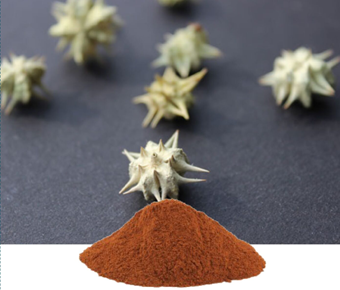 lavanyanutrascience- Tribullus Terrestris Extract
