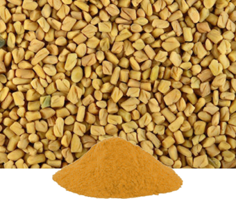 lavanyanutrascience- Trigonella Foenum Graecum Extract