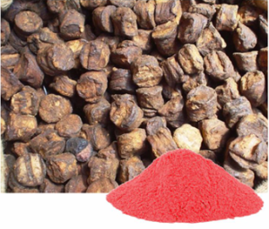 Uncaria gambier Extract