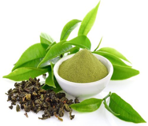 Camellia Sinensis Extract I Green Tea Extract