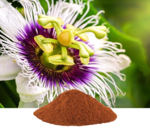 Passiflora Incarnata Extract | Passion Flower Extract